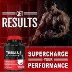 多种维生素铁片生产厂家 - 铁补充剂配方