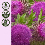 有机锌滴剂生产厂家 - 喜马拉雅海藻镁