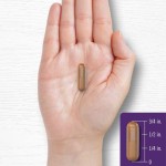 白藜芦醇软胶囊生产厂家 - 抗氧化支持补充剂