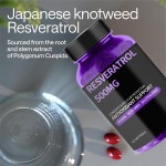 洋车前子壳胶囊厂家 - 膳食纤维补充剂