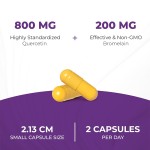 葡萄糖胺胶囊生产厂家 - 姜黄MSM关节支持