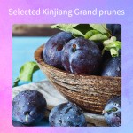 康普茶饮料厂家 - 植物基饮料生产代工