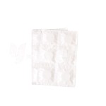 义齿清洁片供应商 - 护理擦拭残留