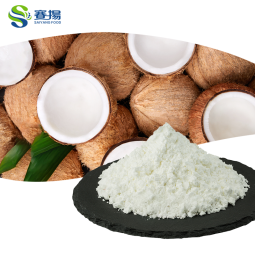 Coconut Milk Powder Food Grade Wholesale Coconut Milk Powder Bulk Pure Coconut Milk Powder