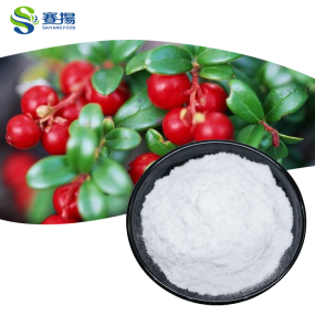 100% Pure Food Grade Bearberry Leaf Extract Powder Skin Whitening Alpha-Arbutin 99% Drum Packaging