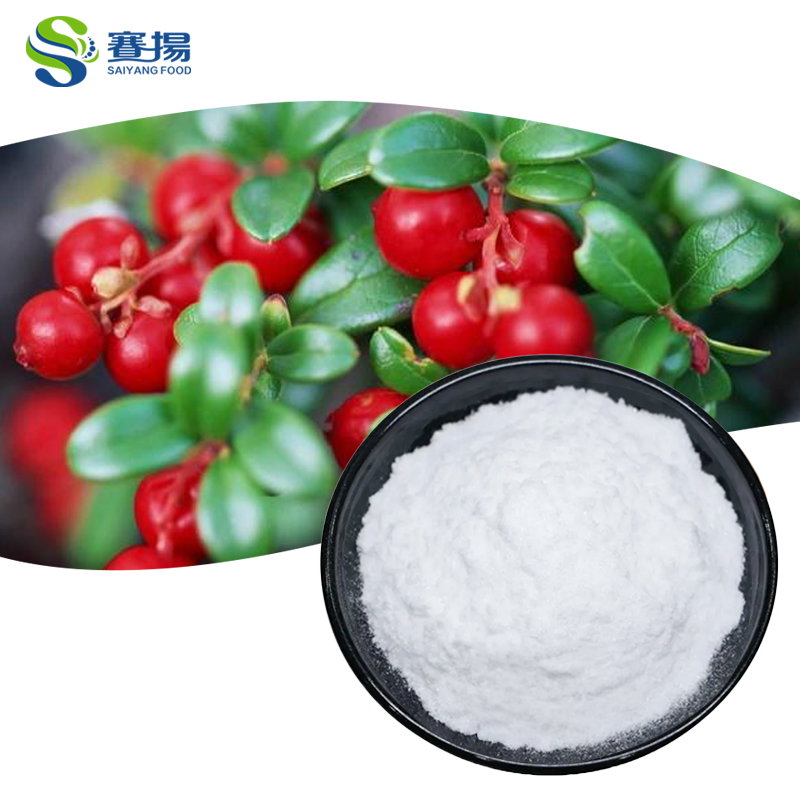 100% Pure Food Grade Bearberry Leaf Extract Powder Skin Whitening Alpha-Arbutin 99% Drum Packaging