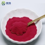 Factory Supply Food Coloring Beetroot Powder Beetroot Extract E30 Pure Natural Pigment Beet Root Red