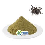 Black Pepper Powder Food Additive Wholesale High Quality Pure Black Pepper Powder