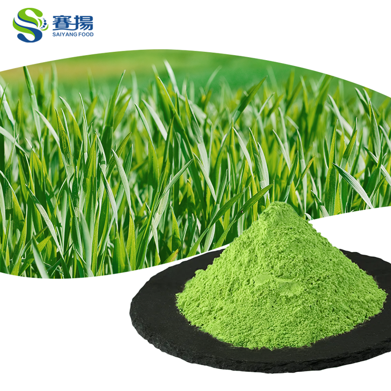 Bulk Superfood Wheat Grass Powder Food Grade Nutritional Supplement WheatGrass Powder Super Greens Wheat Grass Juice Powder