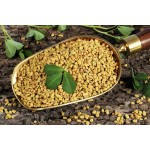 ISO Factory Supply Fenugreek Extract Powder 50% Saponins Fenugreek Extract Powder