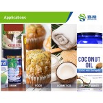 Wholesale High Coconut Powder Bulk Organic Coconut Water Powder 25kg