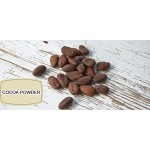 Factory Supply Food Grade Pure Natural Cacao Husk Pigment Powder (E45) Wild Cultivated Herbal Extract in Bottle Drum Packaging