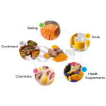 High Quality Natural Turmeric Root Extract 5% 10% 20%  95% Organic Curcumin Supplement Pure Curcumin Powder Bulk