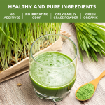 Bulk Superfood Wheat Grass Powder Food Grade Nutritional Supplement WheatGrass Powder Super Greens Wheat Grass Juice Powder