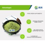 Private Label  Pure Natural Moringa Leaf Extract Powder Bulk Organic Moringa Leaf Powder Supplement