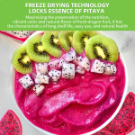 EU&NOP Organic Certificated Private Label  Freeze Dried Red Pitaya Powder Red Dragon Fruit Powder