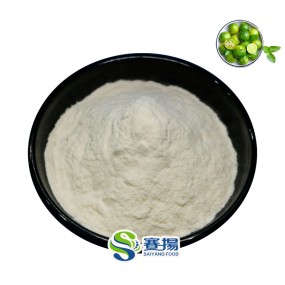Food Grade Lime Powder Water Soluble Calamansi & Green Kumquat Extract Factory Price Available in Bottle Drum Vacuum Packaged