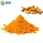 High Quality Natural Turmeric Root Extract 5% 10% 20%  95% Organic Curcumin Supplement Pure Curcumin Powder Bulk