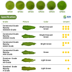 ISO Factory Supply Pure Matcha Green Tea Powder Organic Bulk Packaged Ceremonial Grade Matcha Powder