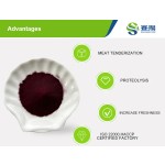 Natural Pigment Water Soluble Black Carrot Powder Purple Carrot Extract Pigment Powder E50