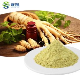 Factory Straight Panax Ginseng Root Powder Ginsenosides 80%  Herbal Extract Healthy Supplement Ginseng Extract Powder
