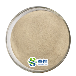 Alkaline Protease Enzymes for Detergents Industrial Grade Alkaline Protease Powder