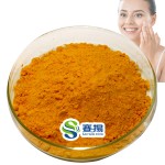 Coenzyme Q10 99 Powder Ubidecarenone CAS 3a03-98-0 Coq10 Bulk 98% Fat Soluble Powder 10% 20% Water Soluble Q10 Coenzyme