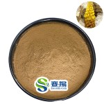 Food Grade Cistanche Tubulosa Extract Powder Wholesale 40% Total Glycoside 10% Echinacoside 4% Verbascoside Food Packaging Drums