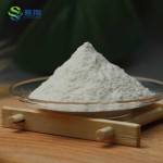 Digestive Enzymes Powder Hot Selling Supplements Bio Digester Enzymes Bulk Digestive Enzymes
