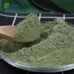 ISO Factory Supply Food Grade Seaweed Extract Powder Dried Seaweed Nori Powder