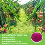 EU&NOP Organic Certificated Private Label  Freeze Dried Red Pitaya Powder Red Dragon Fruit Powder
