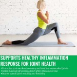 姜黄软糖厂家 - 500mg姜黄素关节柔韧性