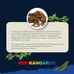 男性增强胶囊生产厂家 - 南非醉茄玛卡根