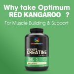 肌酸粉供应商 - 一水肌酸增肌能量