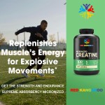 肌酸粉供应商 - 一水肌酸增肌能量