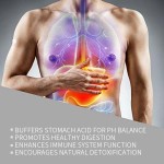 芦荟胶囊厂家 - 消化免疫草本补充剂代工