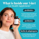 肠道清洁胶囊供应商 - 排毒结肠支持补充剂