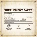 喜来芝树脂生产厂家 - 喜马拉雅有机能量免疫