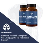 肠道健康胶囊厂家 - 保护强化肠道内膜