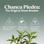 肾脏支持片生产厂家 - 结石清洁排毒代工