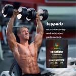 肌酸软糖供应商 - 批发肌肉恢复性能