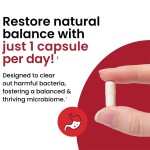 益生菌胶囊生产厂家 - 畅销肠道健康