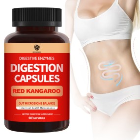 Digestive Enzymes Capsules Manufacturer - OEM Gut Microbiome