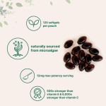 虾青素软胶囊供应商 - 12mg关节健康补充剂代工