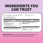 消化软糖厂家 - 益生菌肠道健康支持