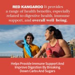 益生菌胶囊生产厂家 - 畅销肠道健康