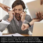 能量薄荷糖厂家 - 即时警觉专注补充剂