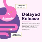 女性益生菌生产厂家 - 阴道健康成人孕妇