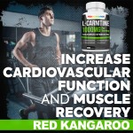 左旋肉碱胶囊厂家 - 脂肪代谢能量促进剂