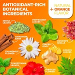 瘦身茶生产厂家 - 热销草本代谢提升